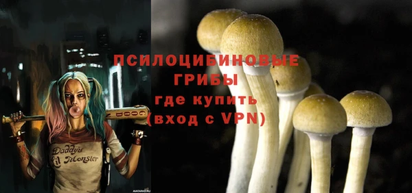 mdpv Заволжье