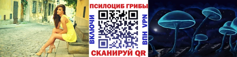 купить наркоту  Магадан  Галлюциногенные грибы Psilocybe 